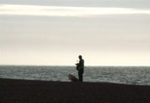 Your Chance to Give a Little Back to Our Beloved Seafront