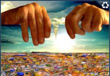 Greens and local campaigners call for a ‘plastic free’ city