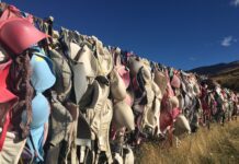 October Marks National Breast Cancer Awareness Month in US, But Disease Doesn’t Stop at the Border