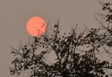 Halloween Comes Early as Brighton’s Sky Turns Red