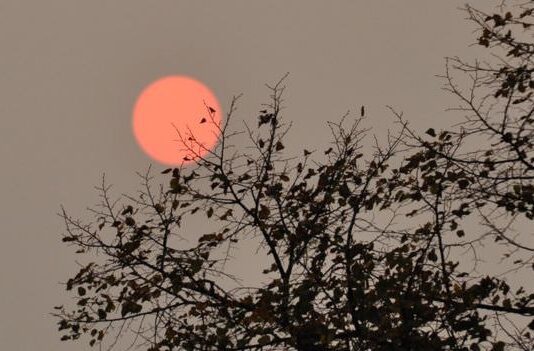 Halloween Comes Early as Brighton’s Sky Turns Red