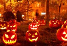 What’s On This Weekend! October 13th – October 15th