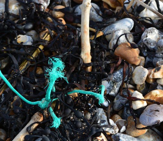 ‘Plastic Free Pledge’ Campaign Seeks to Reduce Use of Plastic in Brighton