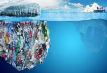 Weekend Interview- Turning Waste into Opportunity: Damon Carson on the Power of Repurposing