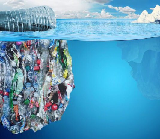 Weekend Interview- Turning Waste into Opportunity: Damon Carson on the Power of Repurposing