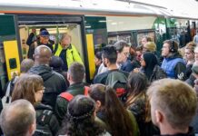 Out of Order: Disruptions, No Vending Machines, and No Staff at Brighton Station