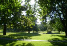 Over £100, 000 of Council Money Goes to Parks Project
