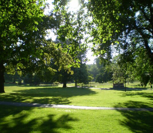 Over £100, 000 of Council Money Goes to Parks Project