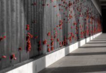 Rememberance Events to be Held this Weekend at the Hove Memorial Hall and in Old Steine Amongst Others.
