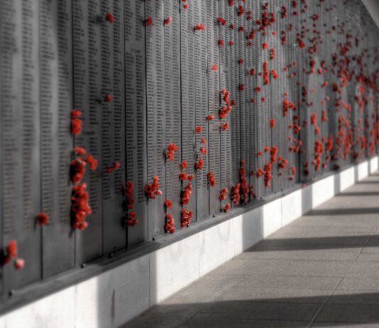 Rememberance Events to be Held this Weekend at the Hove Memorial Hall and in Old Steine Amongst Others.