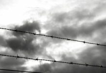 Three People Now Sentenced in Horrific Kemptown Hit and Run