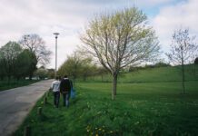 Council Takes Action on Inconsiderate Parking in Stanmer Park After Ambulance Trouble