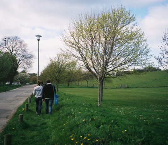 Council Takes Action on Inconsiderate Parking in Stanmer Park After Ambulance Trouble