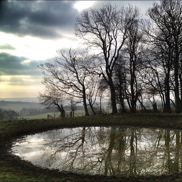 via: antony_mayfield (flickr)