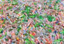 Two Motions to Reduce the Use of Single-use Plastics Passed Unanimously by Brighton and Hove City Council