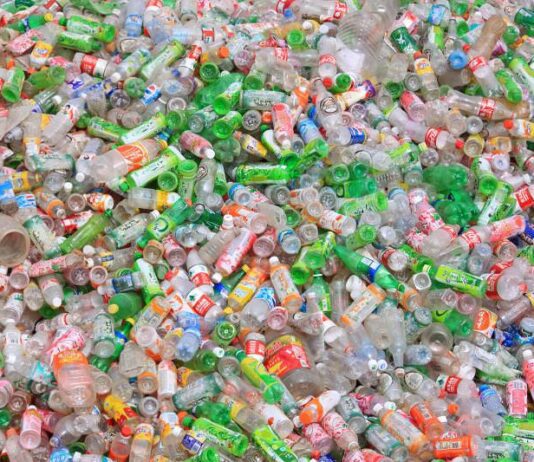 Two Motions to Reduce the Use of Single-use Plastics Passed Unanimously by Brighton and Hove City Council