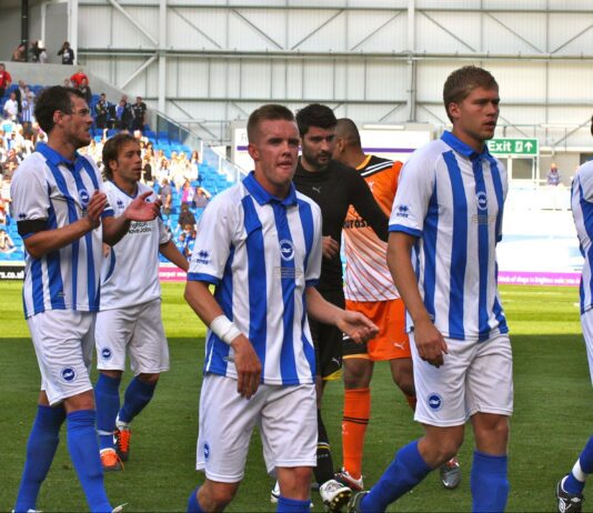 Can Brighton FC Survive Their First Season in the Premier League?