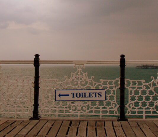 Flushed With Success! Brighton & Hove’s Toilets Rated Cleanest Ever by Loo of the Year Awards Independent Judges