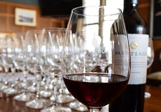 From vineyard to vitality: how wine can improve well-being