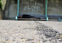Full Occupancy at Brighton Centre Night Shelter Due to be Reached by End of Next Week