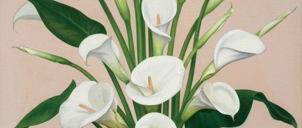 01-09-lillies-cmyk (2)