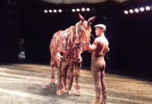 War Horse at the Brighton Centre