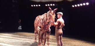 War Horse at the Brighton Centre