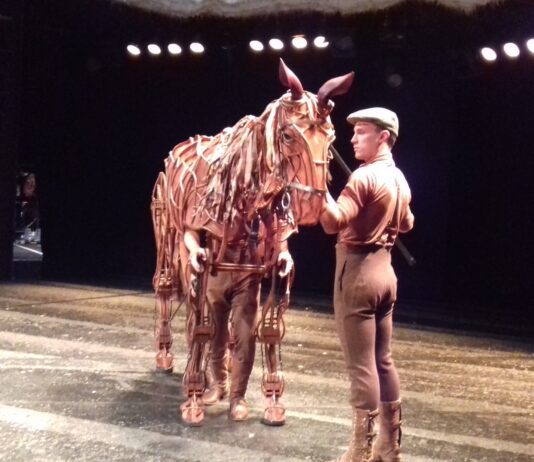 War Horse at the Brighton Centre
