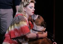 Legally Blonde Dog Auditions Taking Place Brighton’s Theatre Royal
