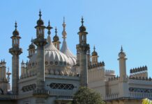 Museum Labs at Brighton Museum Take you Behind the Scenes