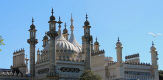 Museum Labs at Brighton Museum Take you Behind the Scenes