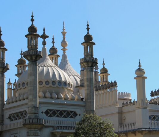 Museum Labs at Brighton Museum Take you Behind the Scenes