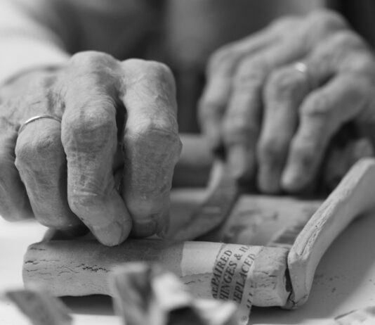 Carers Needed In Important Adult Social Care & Support Scheme