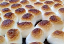 Rosa’s Ridiculous S’mores Brownie