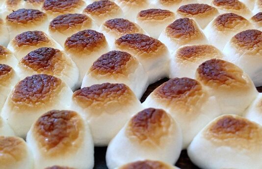 Rosa’s Ridiculous S’mores Brownie