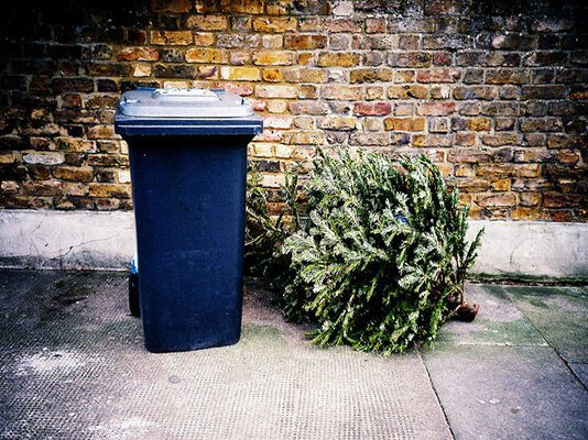 Where and How To Recycle Your Christmas Tree
