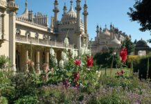 What’s On In Brighton This Weekend? Sat 20 – Sun 21 January