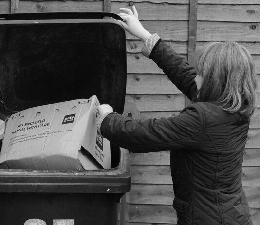 A Load of Rubbish? Mother Fined £600 and Threatened with Jail for Putting Cardboard in Wrong Bin