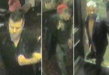 Police Appeal for Witnesses to Brighton Rape