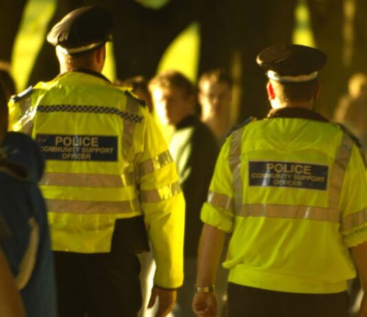 Man from Littlehampton Sentenced to 16 Years After Assault