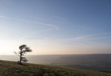 Earth Dialogue – Reconnect with Nature at Saddlescombe Farm