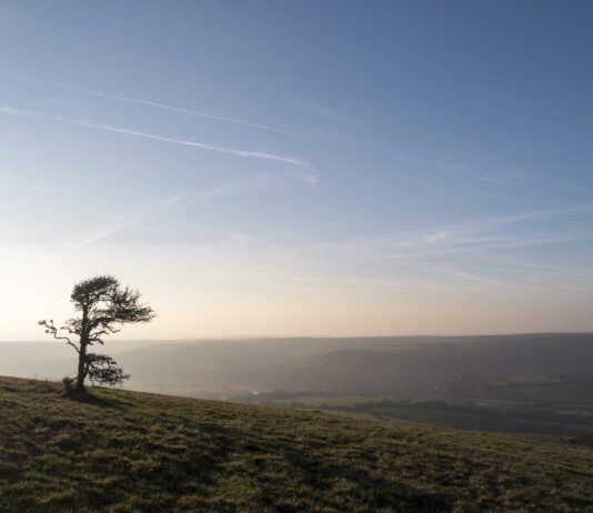 Earth Dialogue – Reconnect with Nature at Saddlescombe Farm