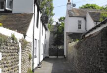 Man Violently Smashes Windows in Shoreham – Police Appealing for Witnesses