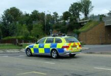 Reward of £500 Offered for Kesley Searle