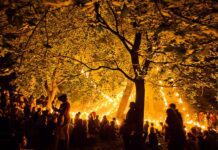 Brighton Festival Lineup out Today! See the Highlights here!