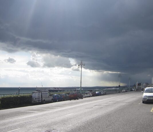 Teenage Boy Killed in Bus Collision in Brighton