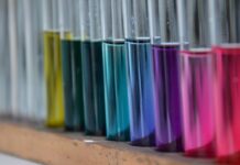 Brighton Science Festival! February 10th – 18th