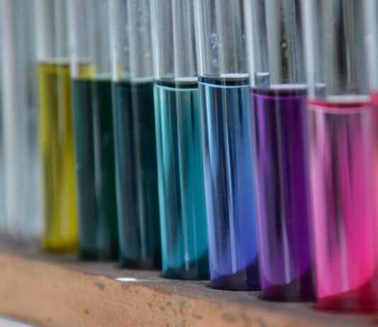 Brighton Science Festival! February 10th – 18th