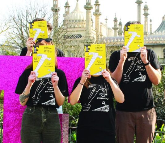 Volunteer at the Brighton Festival 2018 – Recruitment Evening 8th March