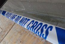 St Leonards Shooter appears in Court Charged with Murder and Robbery